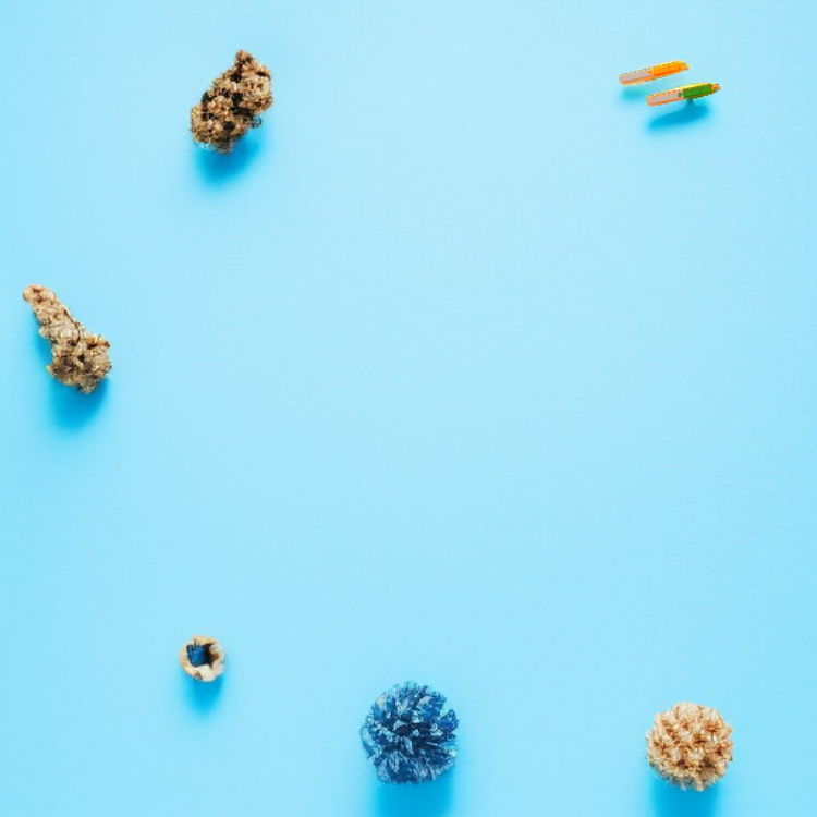 毛玉取りブラシ