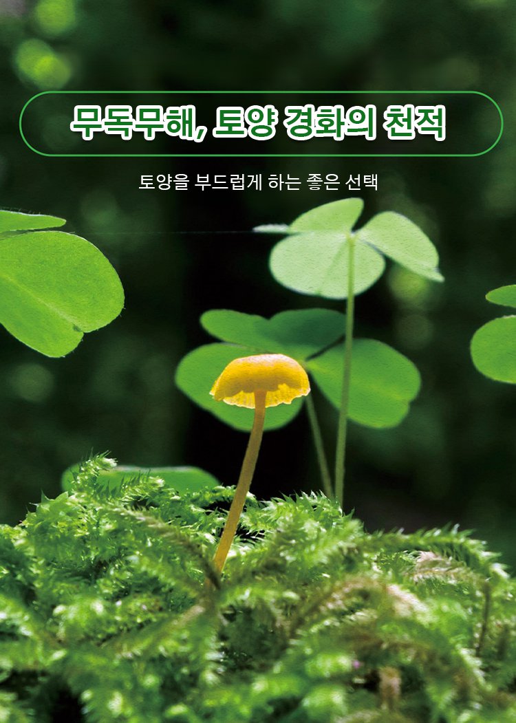 뿌리 발달을 돕는 토양 활성제 사용 전후 비교