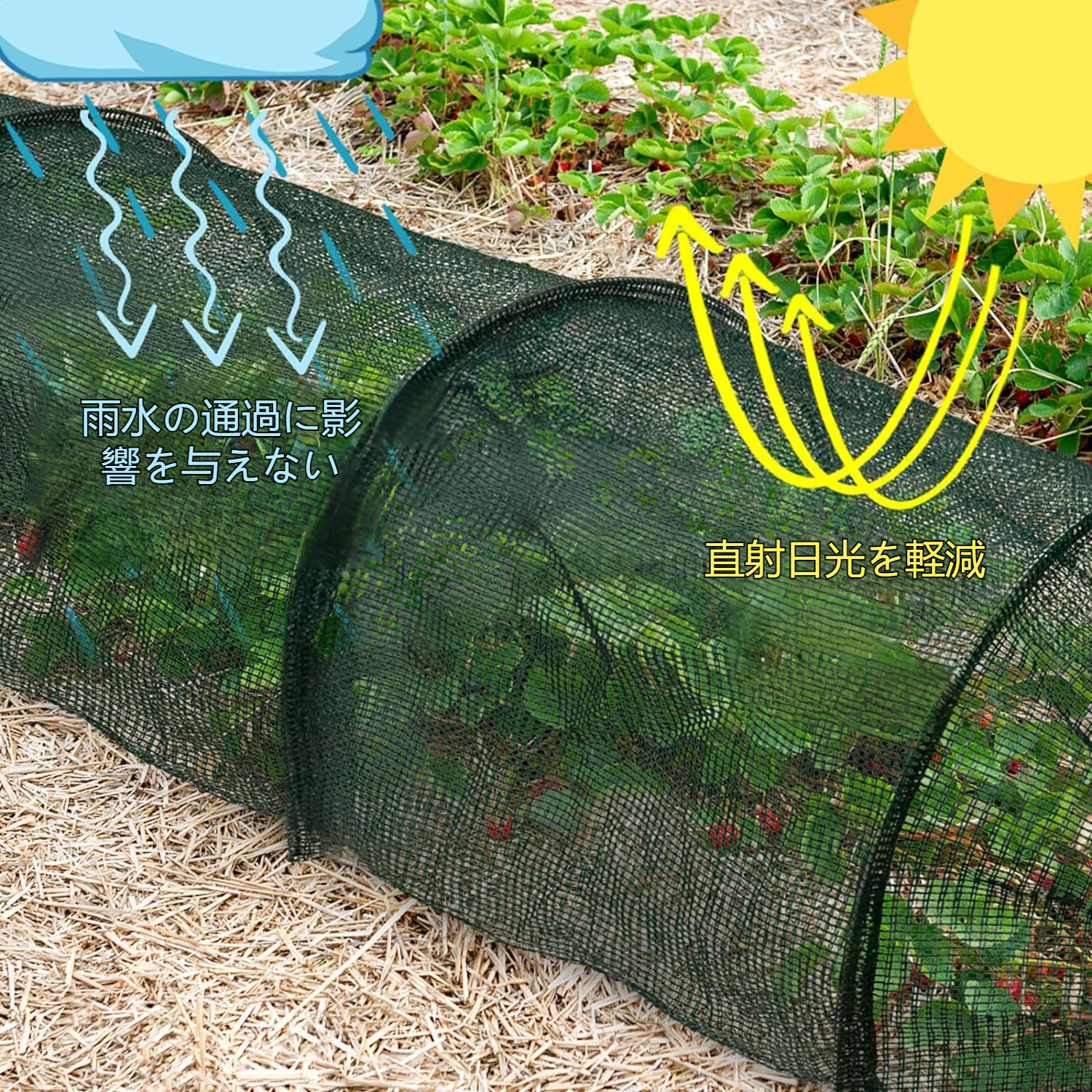 多用途シェードネットカバーの使用シーン