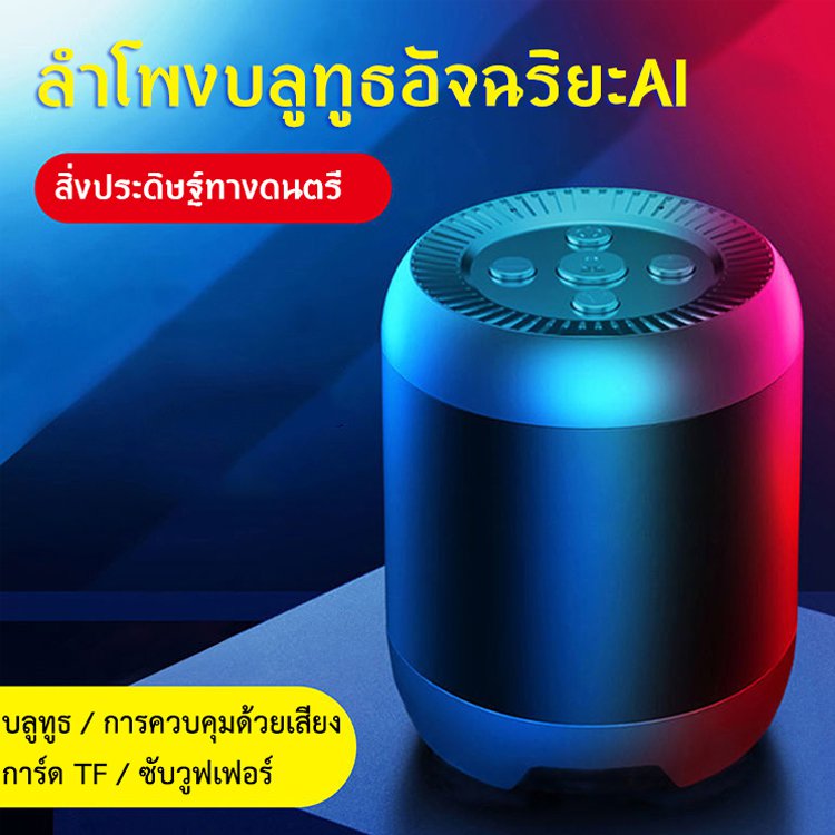 ซับวูฟเฟอร์ แบบพกพาขนาดมินิ