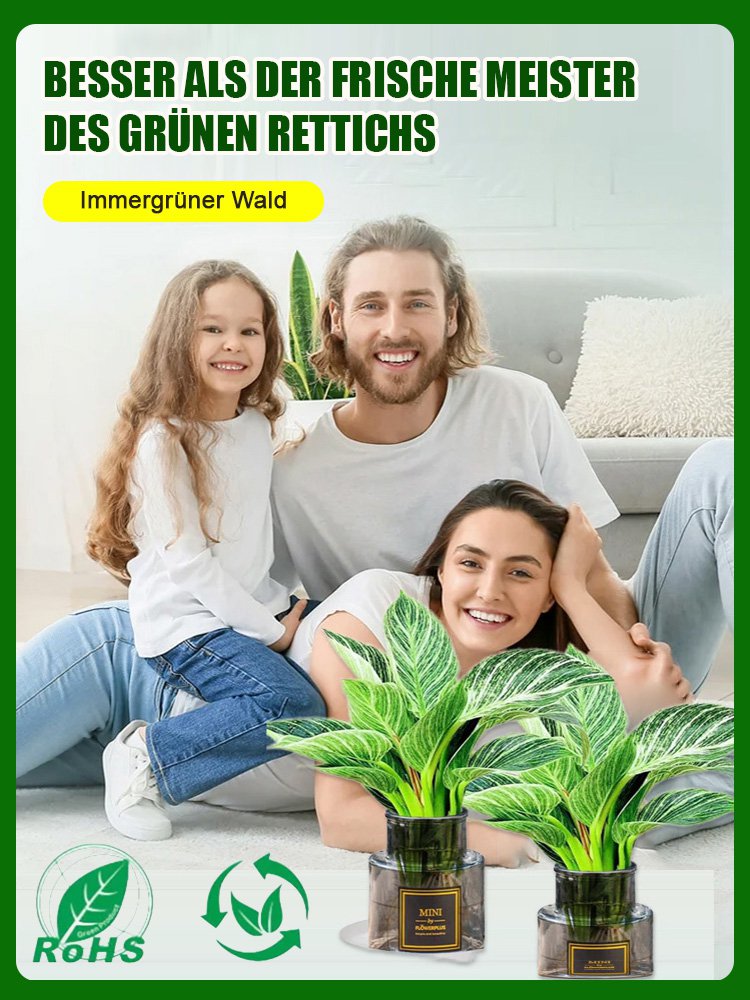 【Trockenheitsresistenter Giftkönig】Platin-Diamant-Grüne Prinzessin Topfpflanze mit großen Blättern