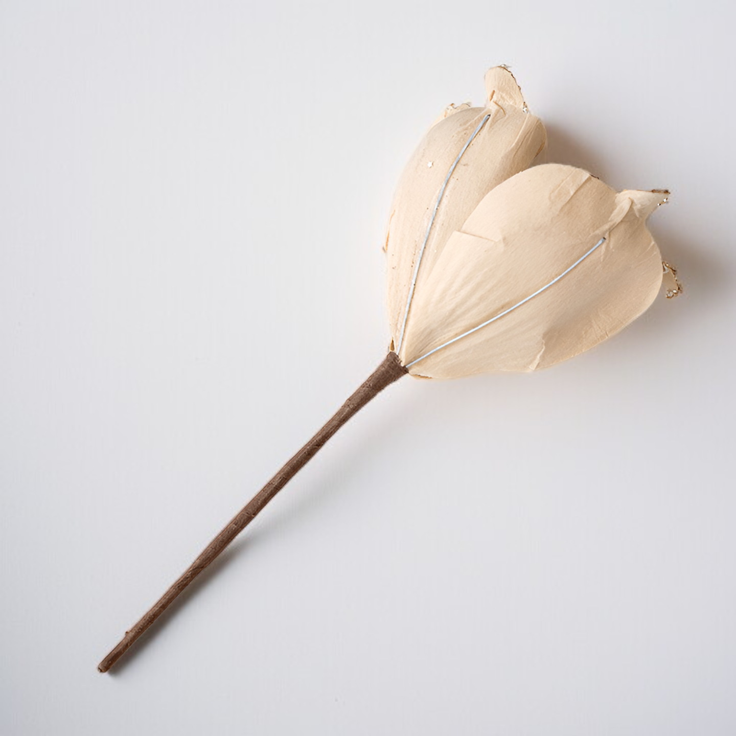 造花のモクレン