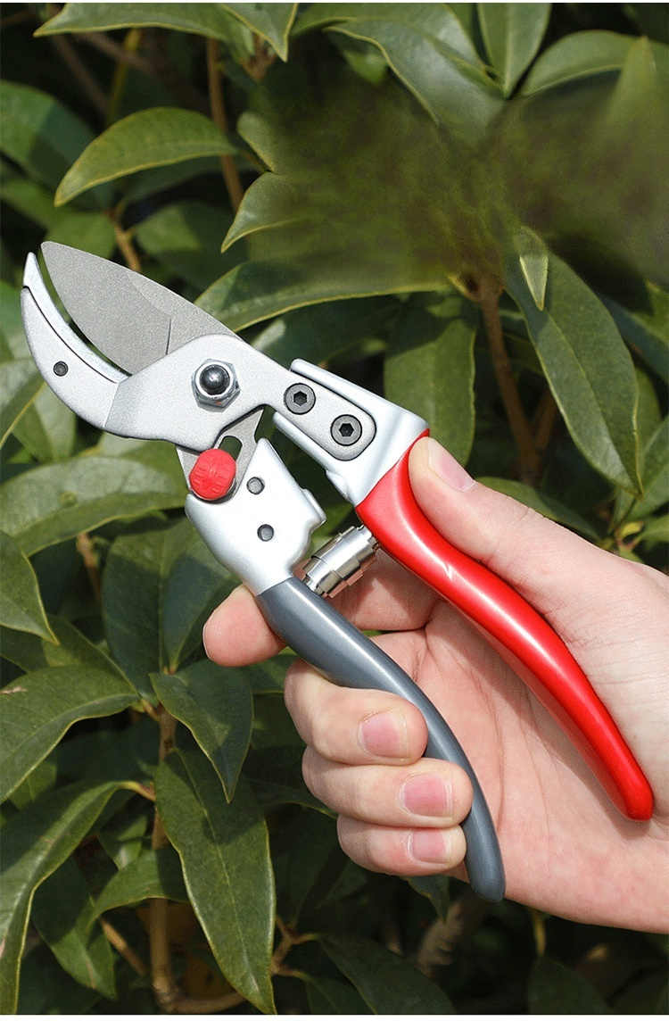 Wysokiej jakości sekator ogrodowy SK5