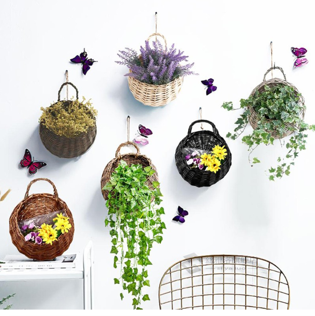 Versatile hanging basket for herbs and small plants