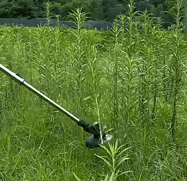 详情_06-1.gif