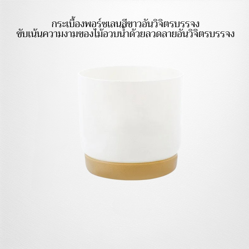 กระถางดอกไม้เซรามิก