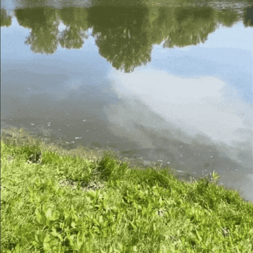 未标题-1_06.gif