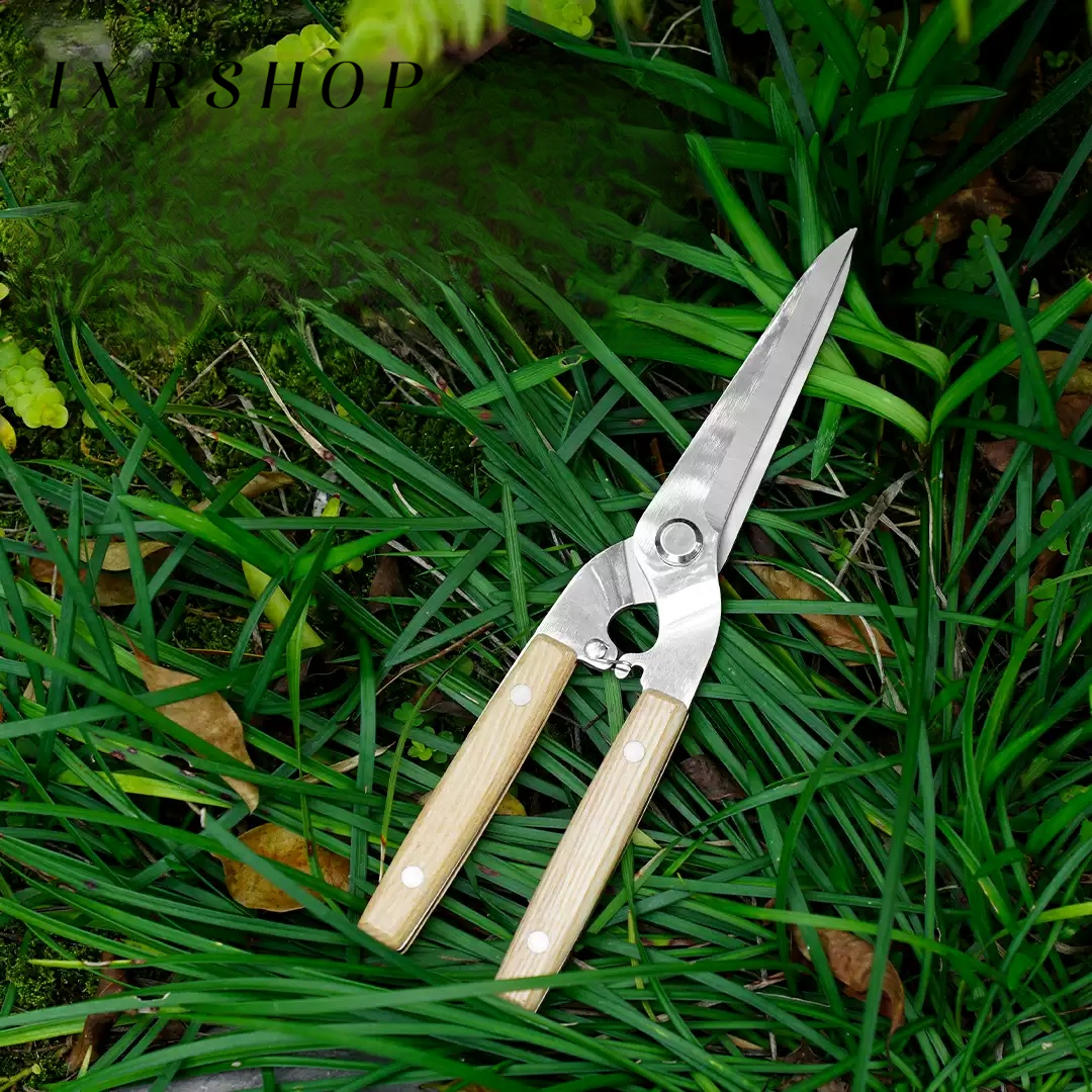 Tijeras de arte floral para jardín cortando flores