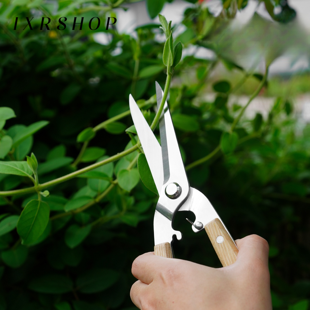 Herramienta de jardinería tijeras para arreglos florales