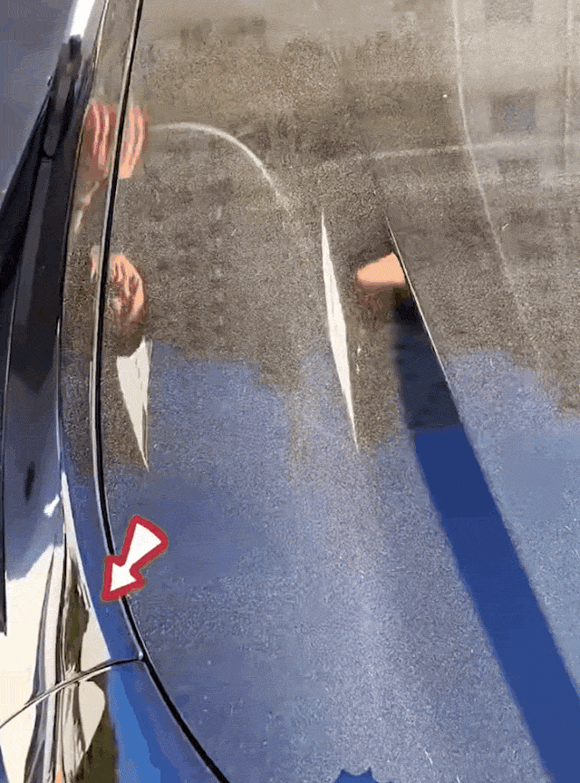 1.gif