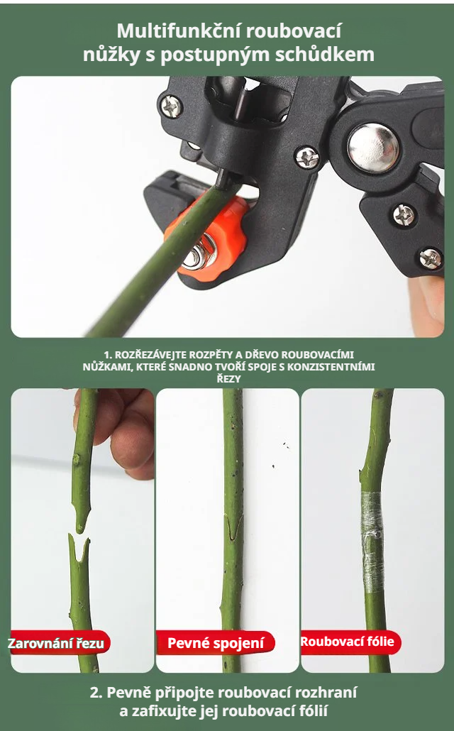 Rychlé a snadné štěpování rostlin