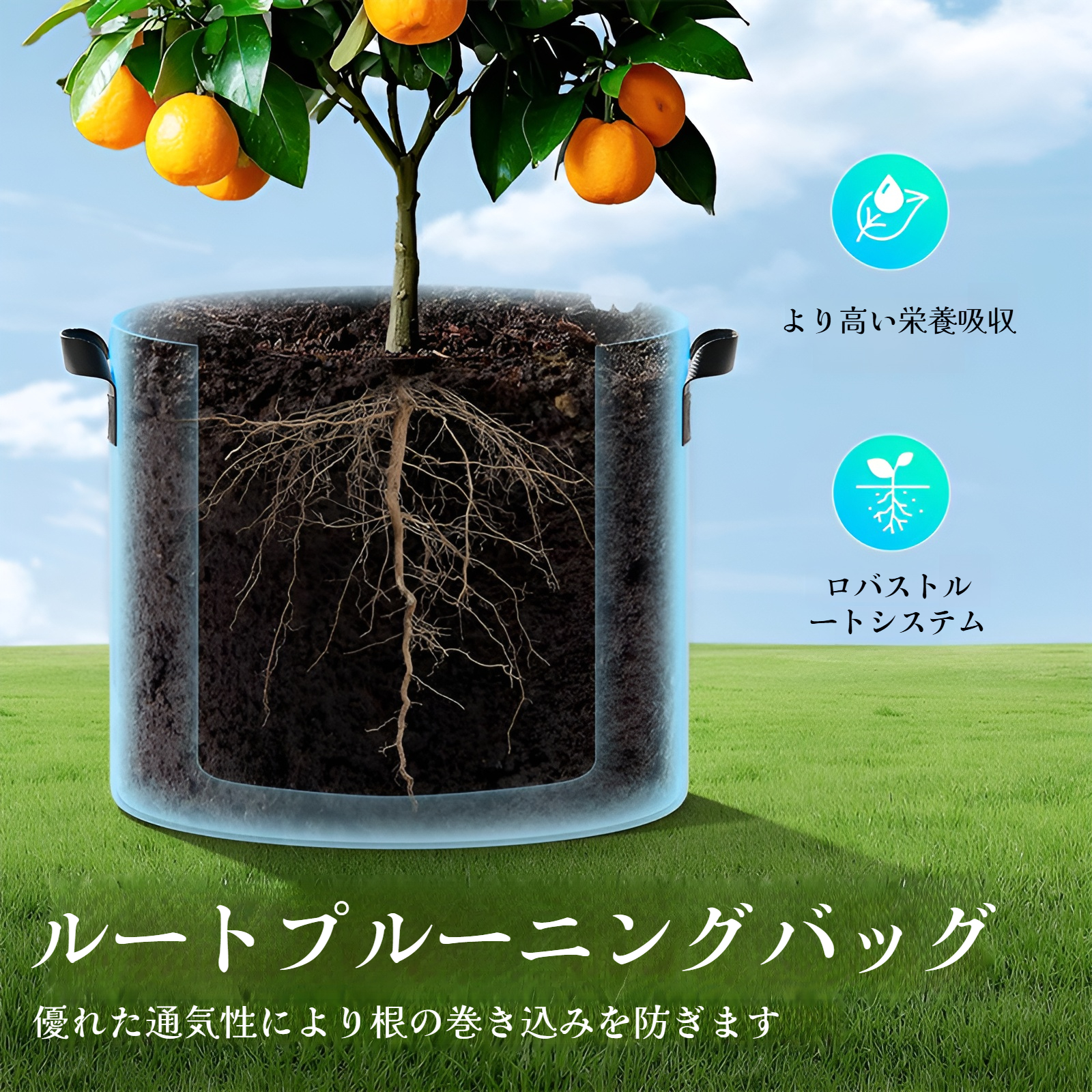 Amazon人気の植栽バッグ商品パッケージ