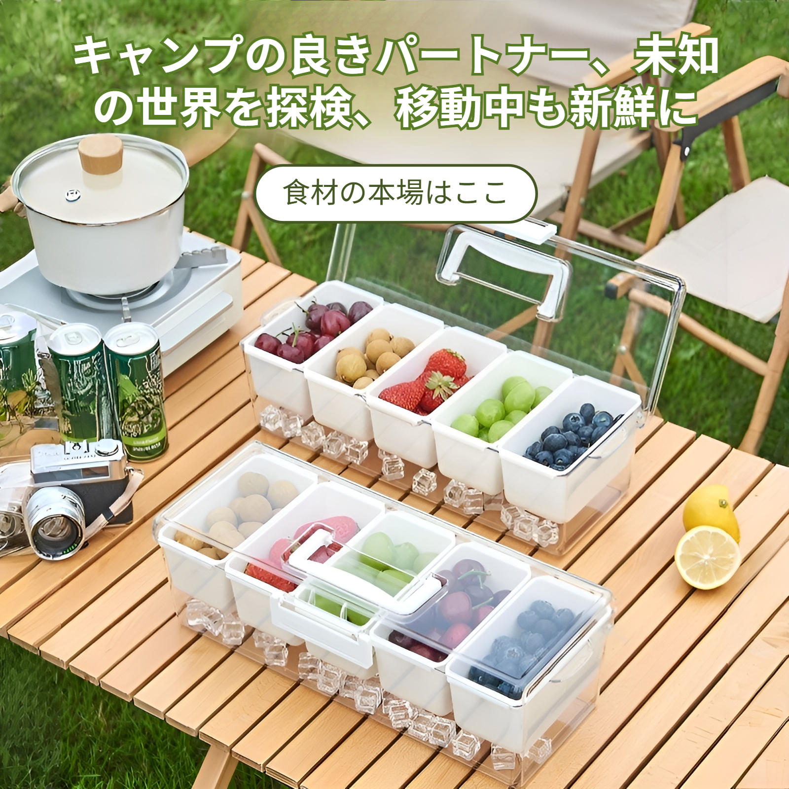 ポータブルサラダ収納ボックスの全体外観