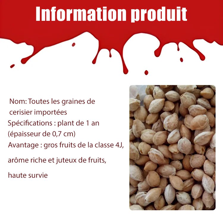 Graines de cerises importées du Chili