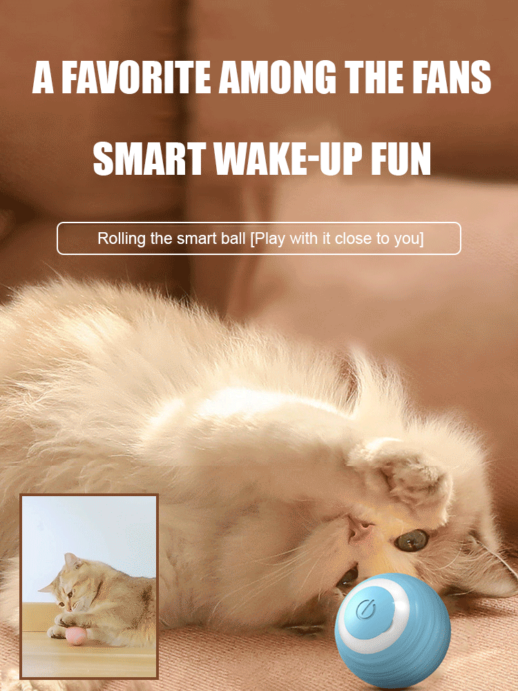 Pet cat smart electric rolling ball