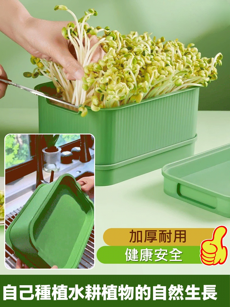 發芽專用種植盆