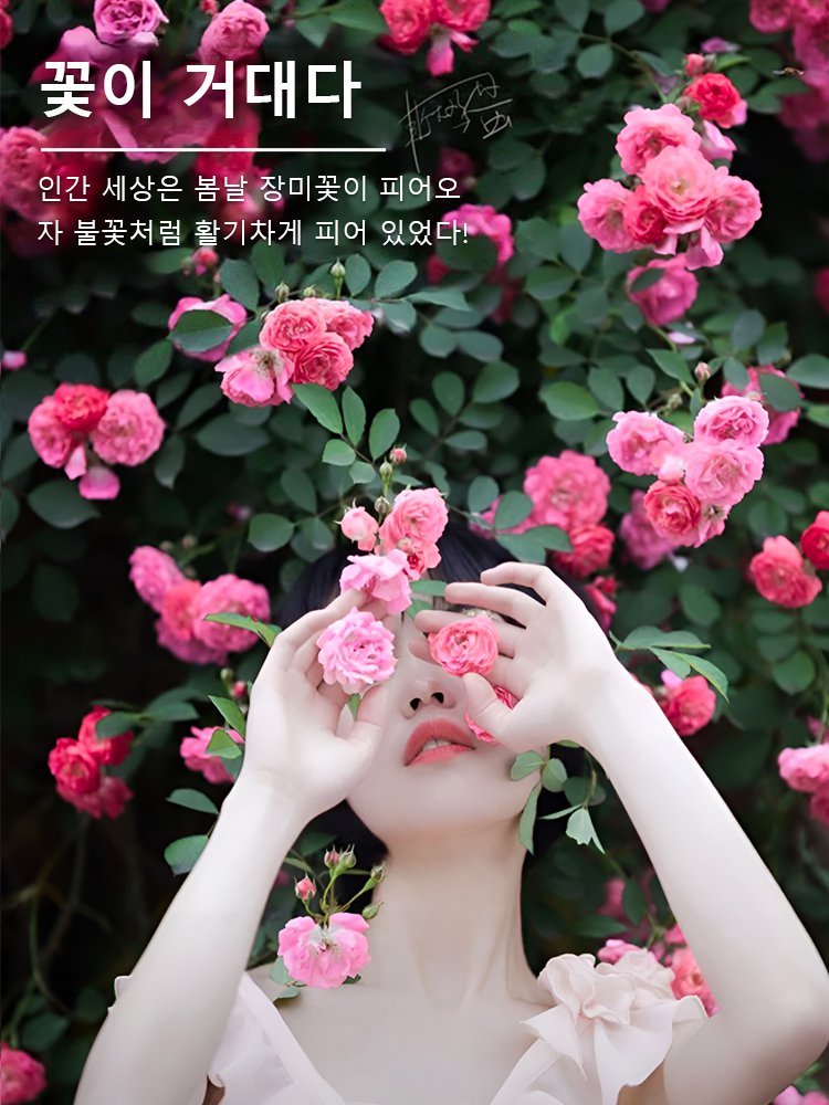 【연중 개화】덩굴 장미 씨앗