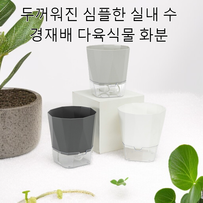 두꺼워진 심플한 실내 수경재배 다육식물 화분