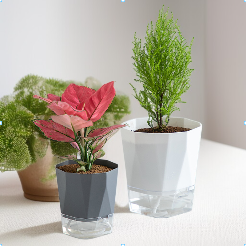 두꺼워진 심플한 실내 수경재배 다육식물 화분