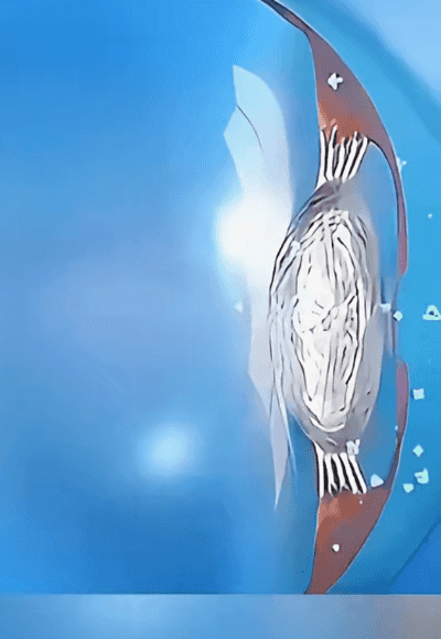 123_15.gif