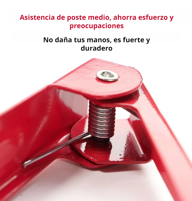 Cómo usar el removedor de espinas en flores