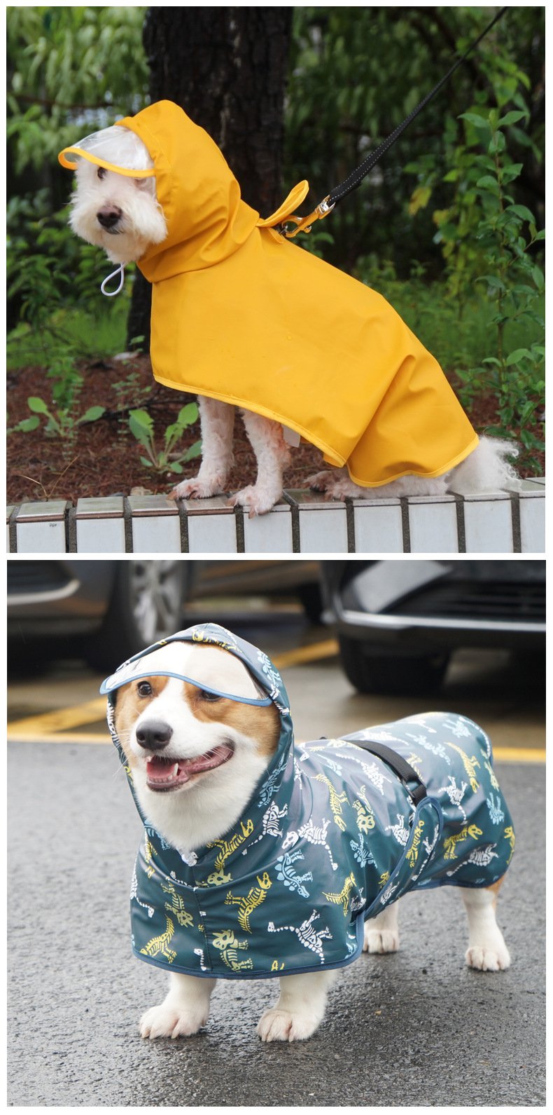 大型犬用レインコートのサイズ比較画像