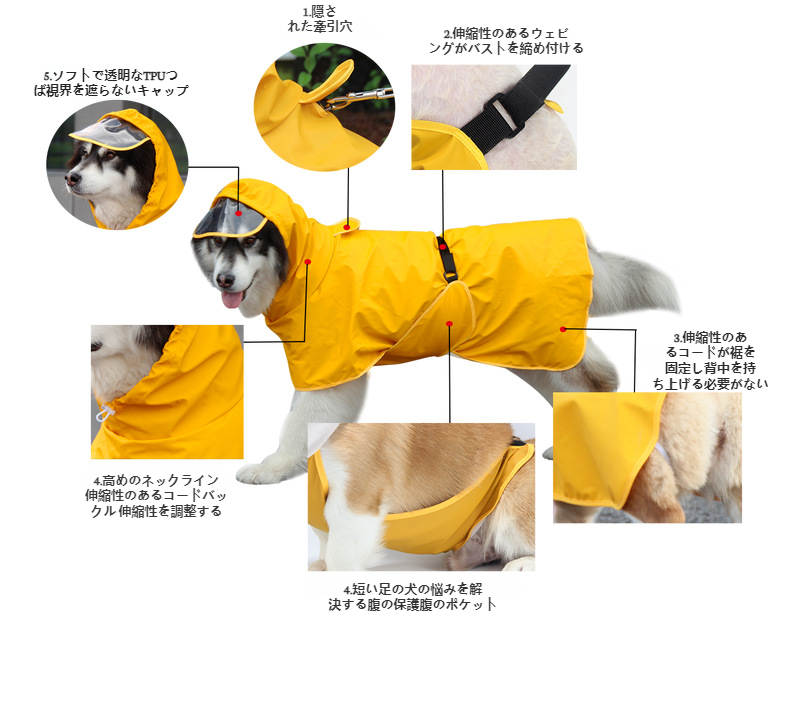 大型犬がレインコートを着て散歩する様子