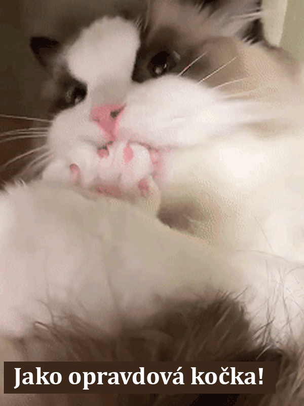 Simulovaná elektrická plyšová kočka