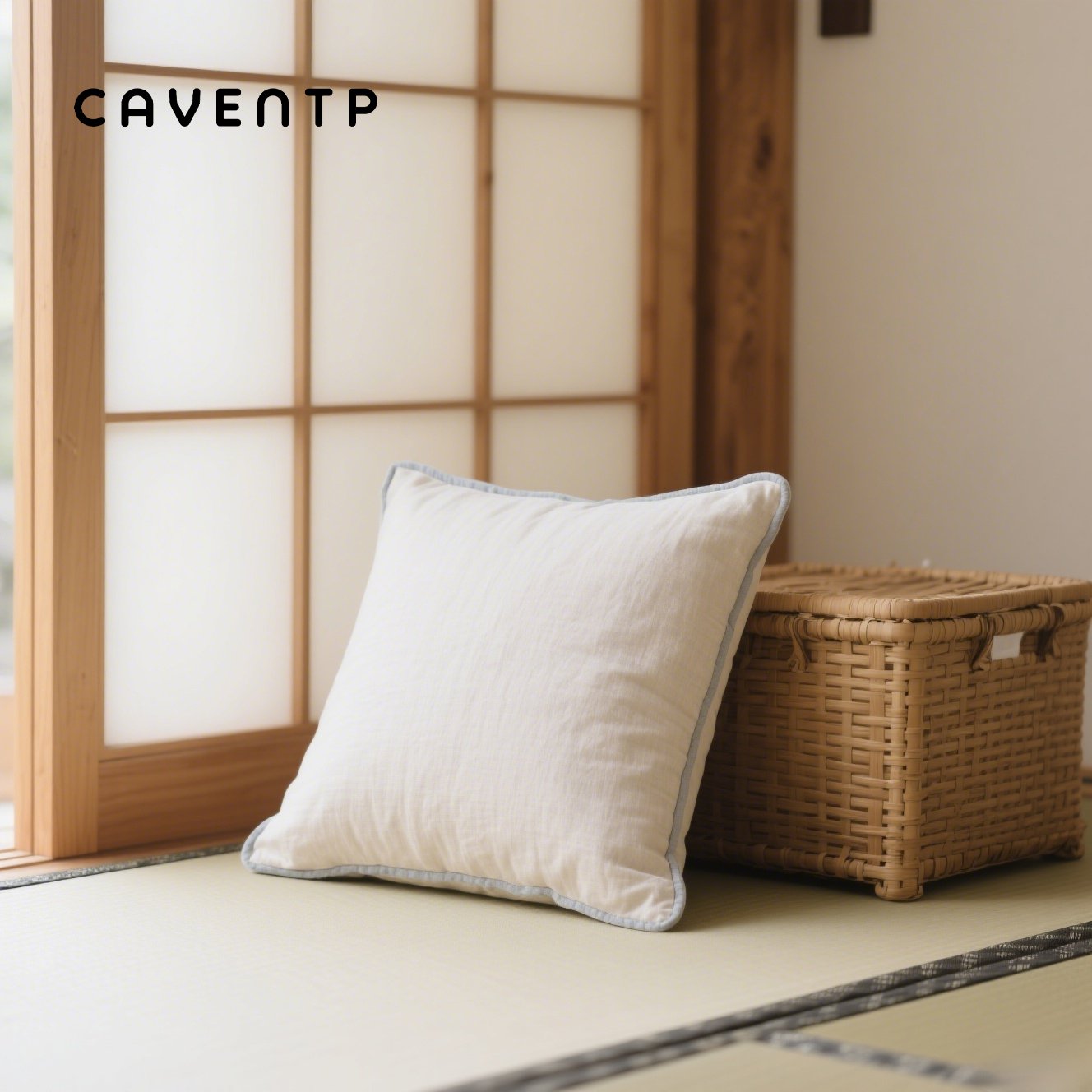 Kissen aus reiner Baumwolle und Seide