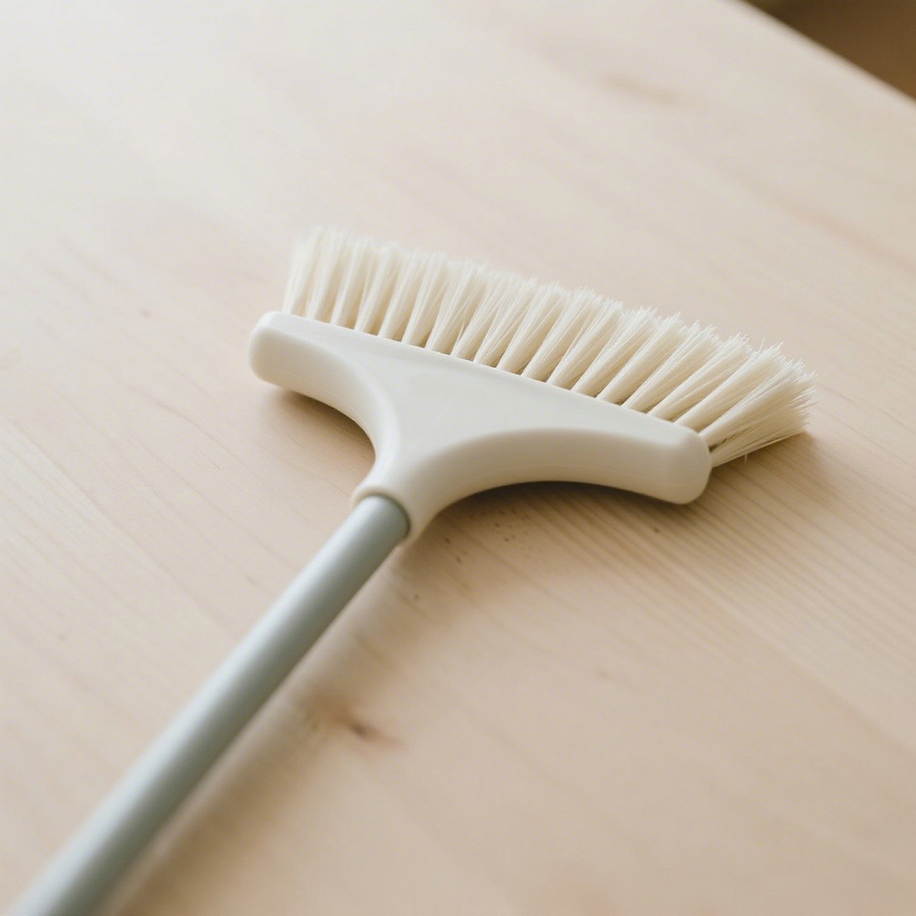 軽量家庭用ほうき