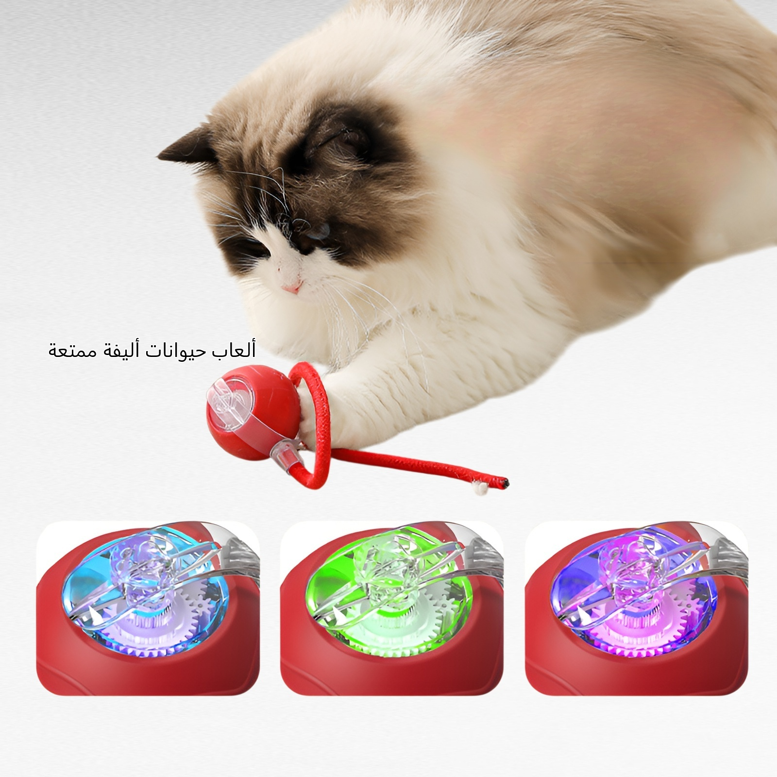 كرة الحيوانات الأليفة، أداة سحرية لتخفيف الملل