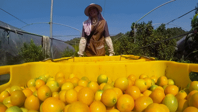 1-a77cb395e3ba2958dfed321cb52504ef.gif
