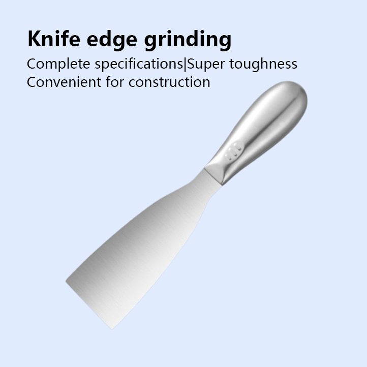 Stainless Steel Steak Spatula