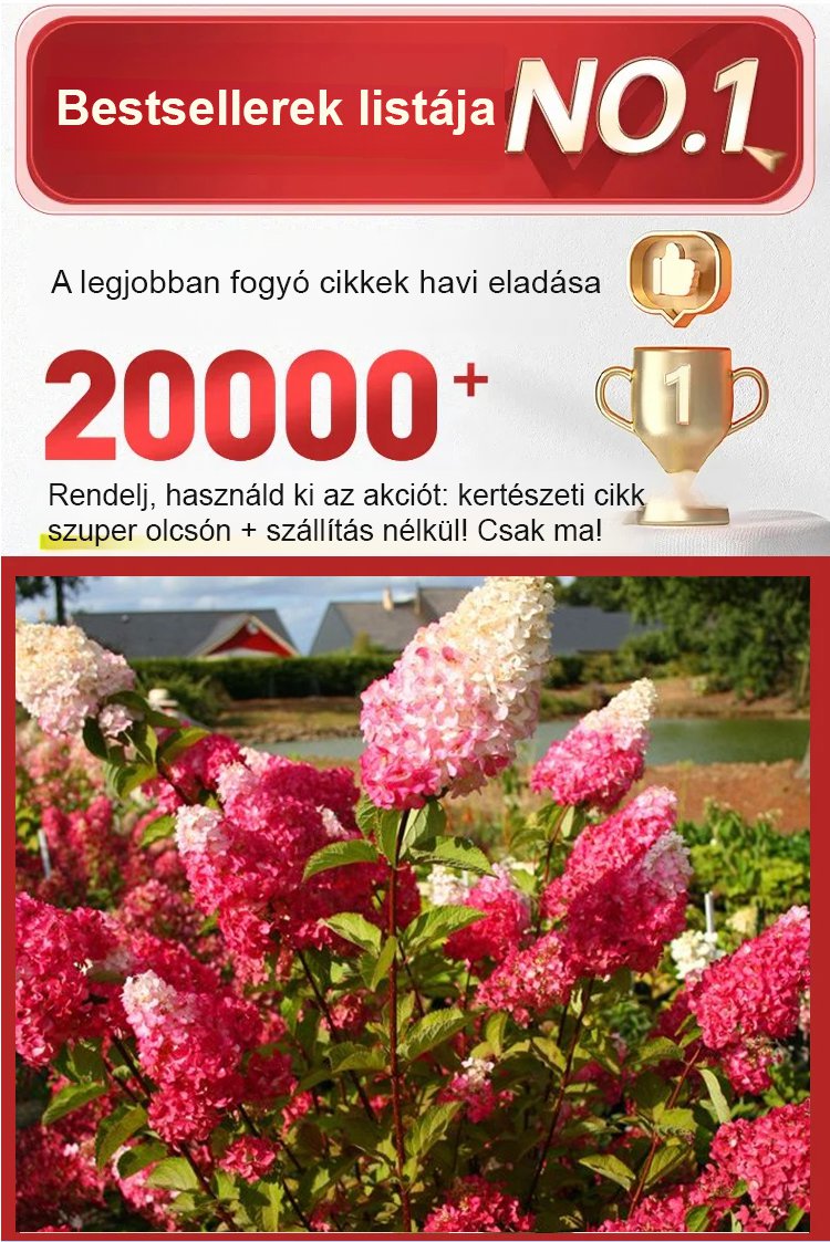 翻译件-JS-四季开花草莓绣球花种-1268048-系统_01.jpg
