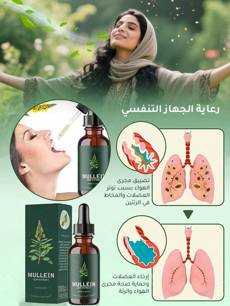 قطرات مستخلصات أوراق وأزهار فيرباسكوم ثابسوس غذائية لتنقية الرئتين وتغذيتها