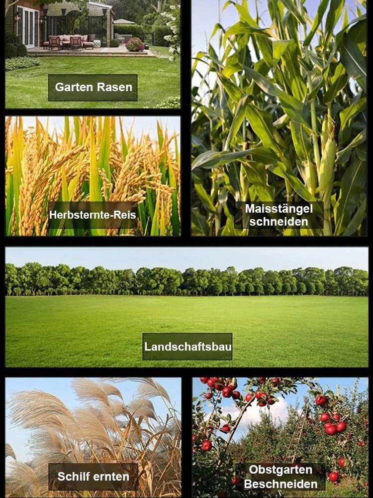 Kleiner elektrischer Rasenmäher