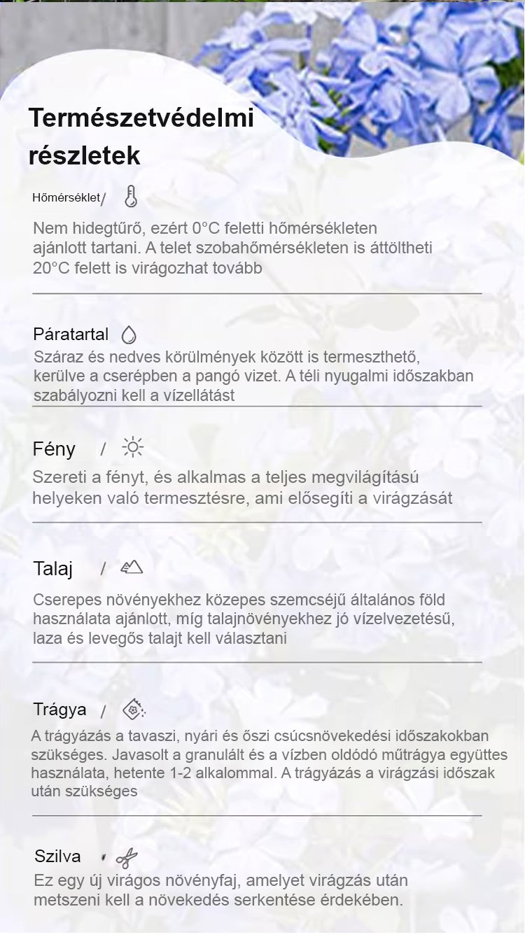 翻译件-JS-【飘香万里】四季开花蓝雪花爬藤种子-1266983-系统_14.jpg