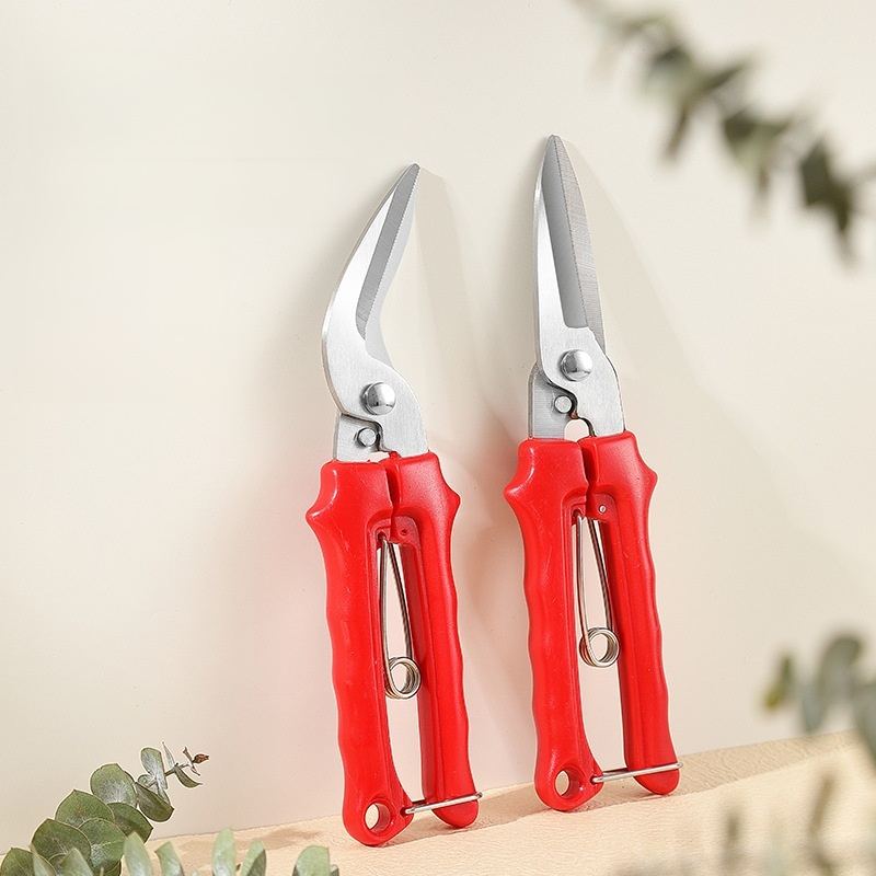 Pruning shears