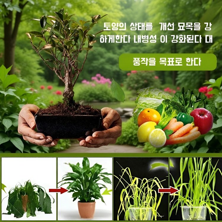 영양 토양 활성제