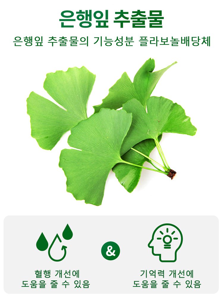 【혈액 순환 개선】은행잎 추출물 영양 보충제