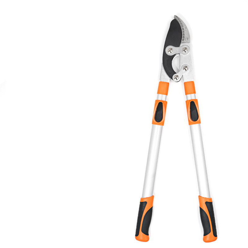 樹木剪定鋏 果樹 軽量で耐久性に優れ 錆びにくい 労働力を節約する タフでシャープ 室内