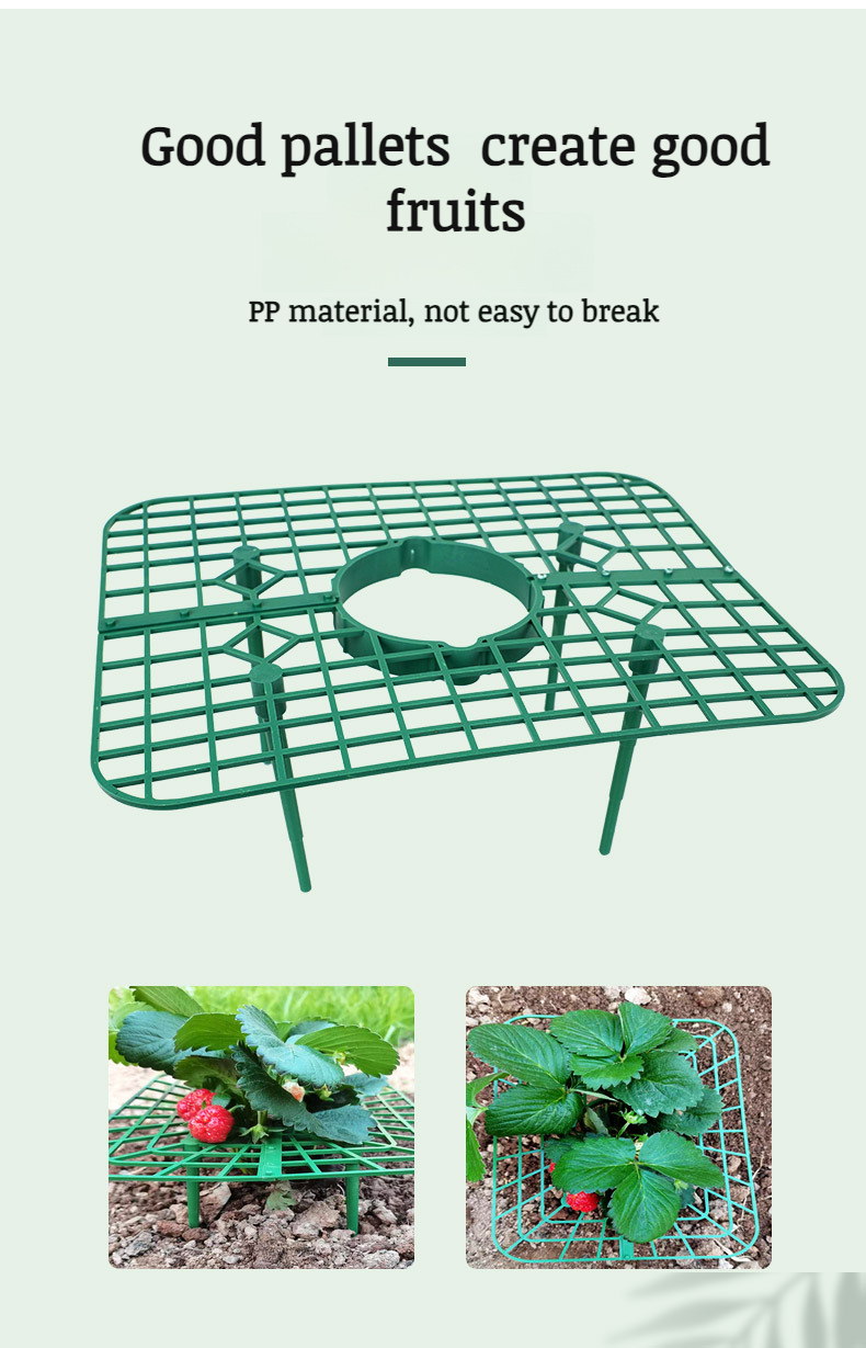 Closeup of strawberry bracket planting rack