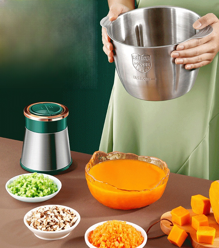 Elektrischer Fleischwolf aus Edelstahl