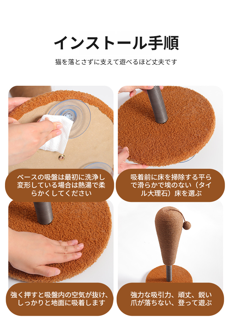 タンブラー型ペット用品で遊ぶ猫