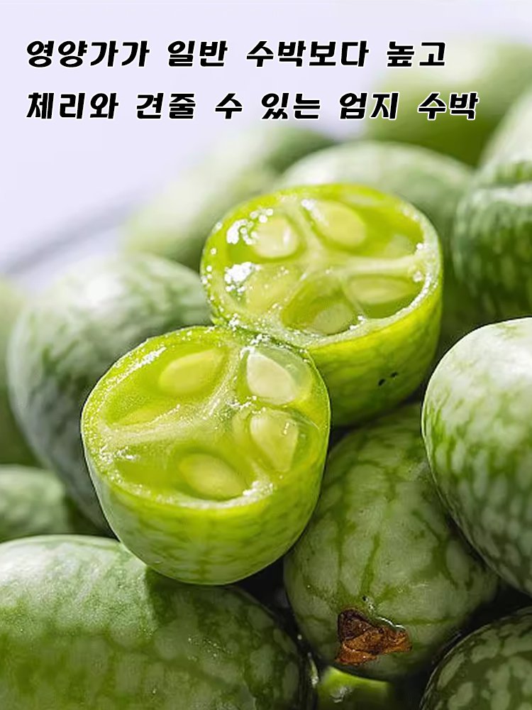 【쉽게 재배】엄지 수박 씨앗