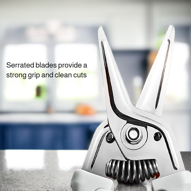 Multifunctional stainless steel kitchen scissors