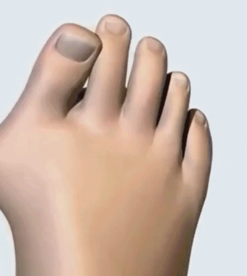 fb6c934232e798788ce8bb59c8d3c1b0.gif
