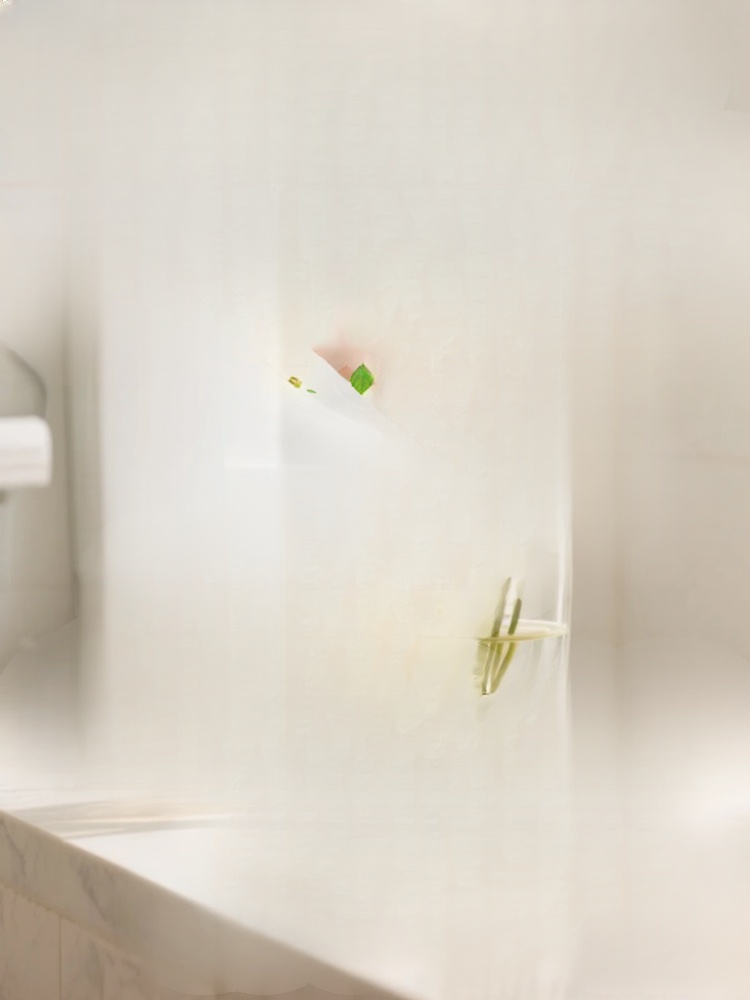 관상용 수경 재배 연꽃 씨앗