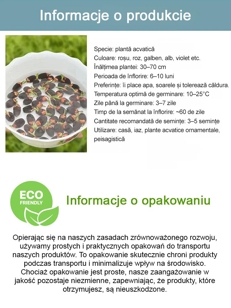 【Na pomyślność i bogactwo】Nasiona lotosu miskowego