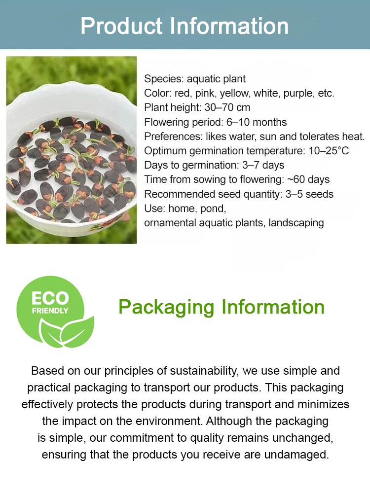 [Beginner-friendly] Hydroponic lotus seeds 